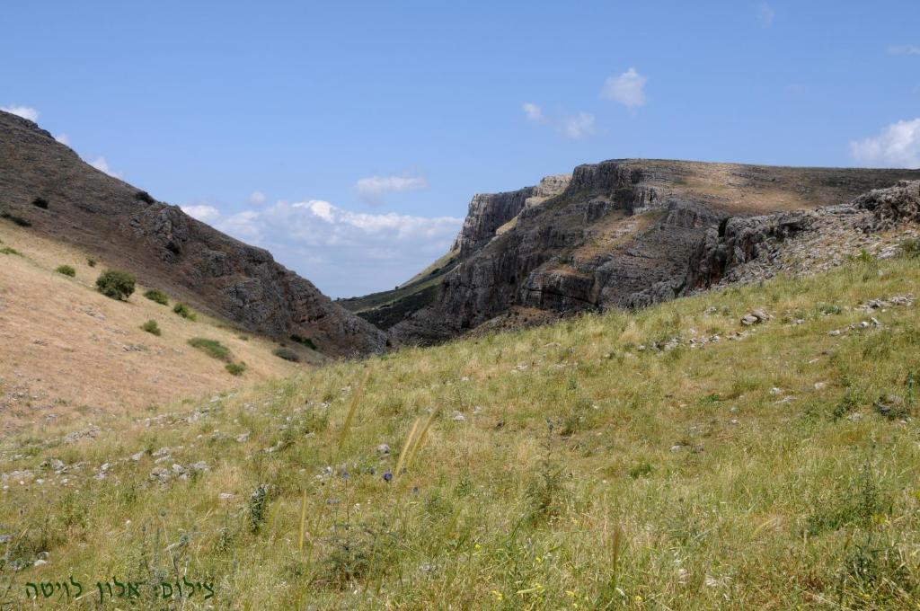 Arbel Guest House Shavit Family Exterior photo