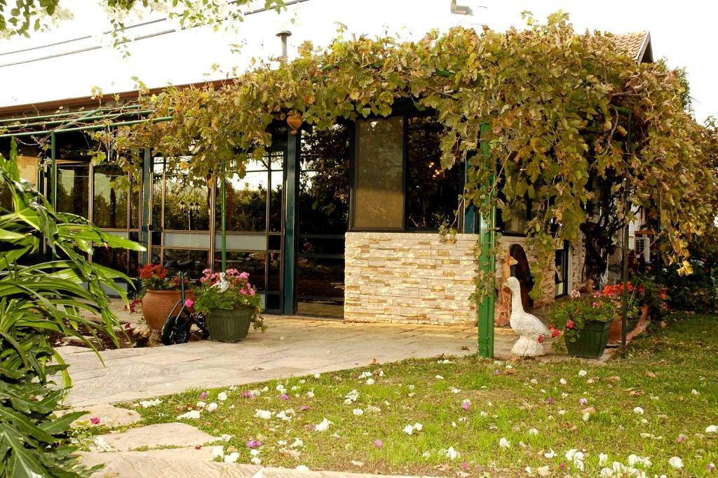 Arbel Guest House Shavit Family Exterior photo